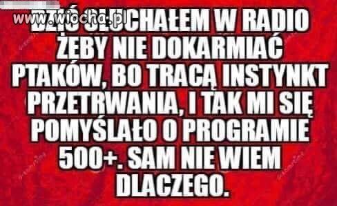 Też mam takie skojarzenie. 