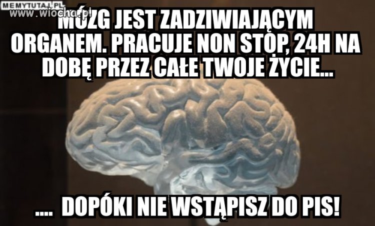 Takie tam kiedy zobaczyłem jak lekarze z pis...