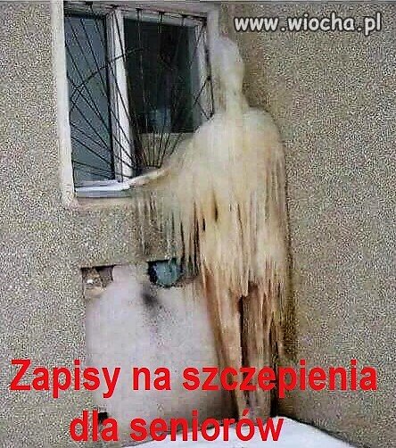 Organizacja szczepień wg PiS.