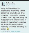Fajny ten
