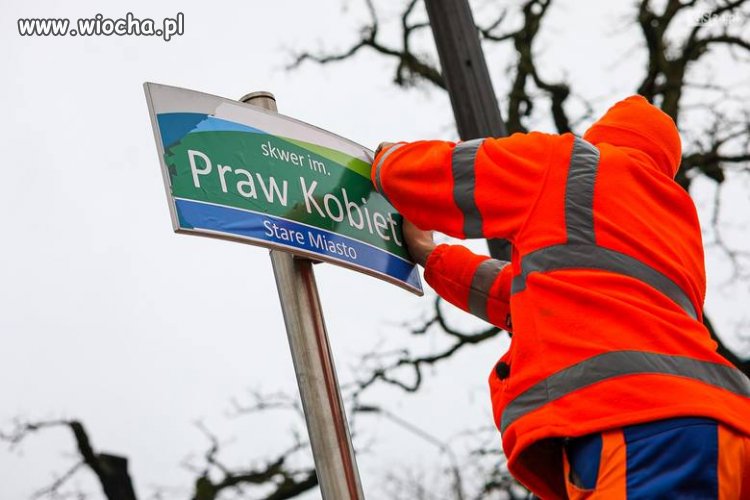 Gdy pis minie tak będzie wszedzie