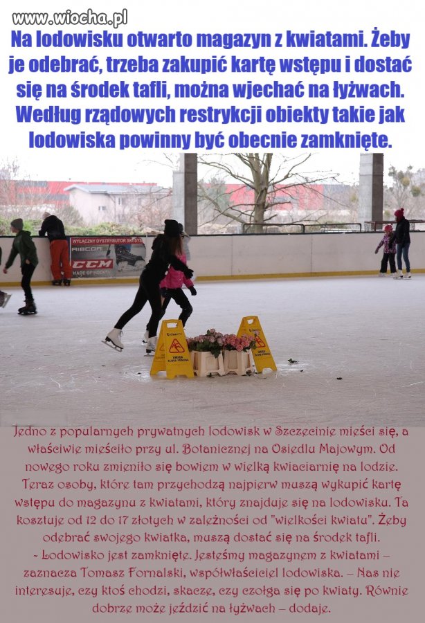 To żenujące, jakie pomysły muszą Polacy wdrażać
