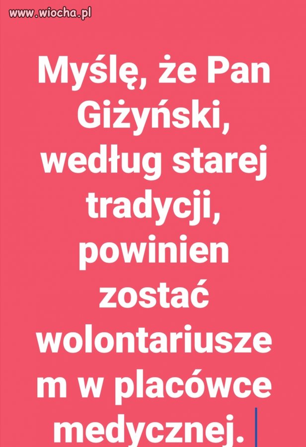 Wolontariusz