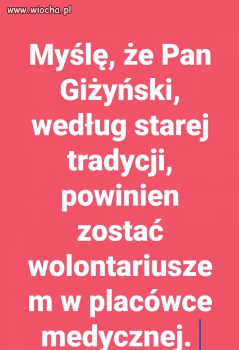 Wolontariusz