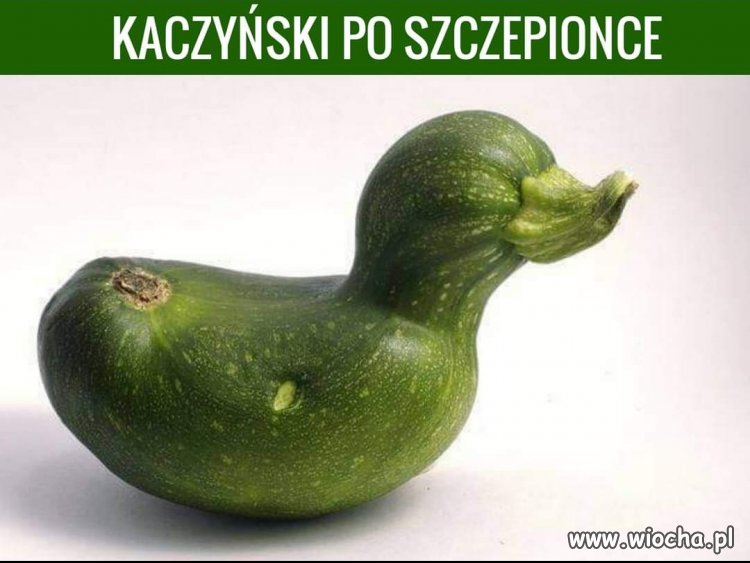 Efekty