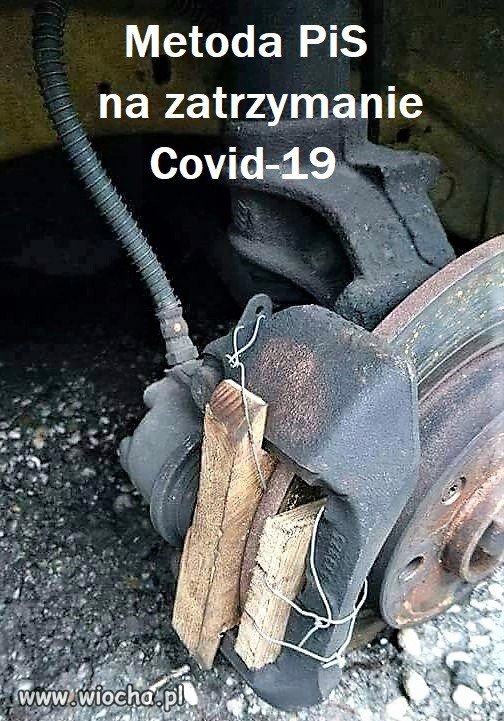 Bez tytułu.