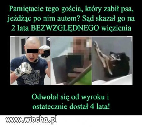 Jeszcze jest nadzieja...