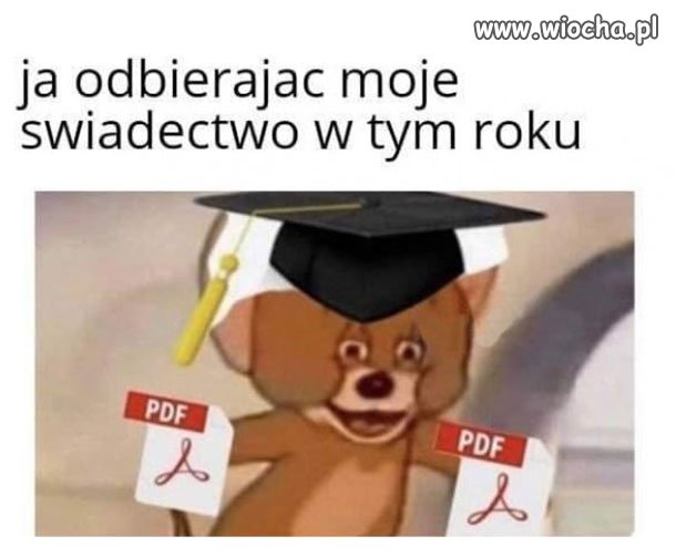 Świadectwo po nowemu 