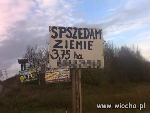 Perełki poprawnej polszczyzny 