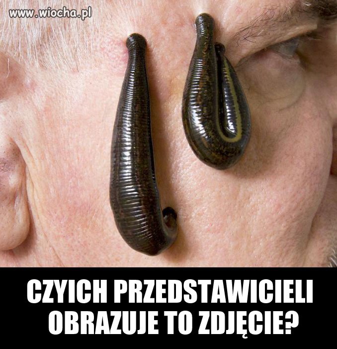 Zagadka
