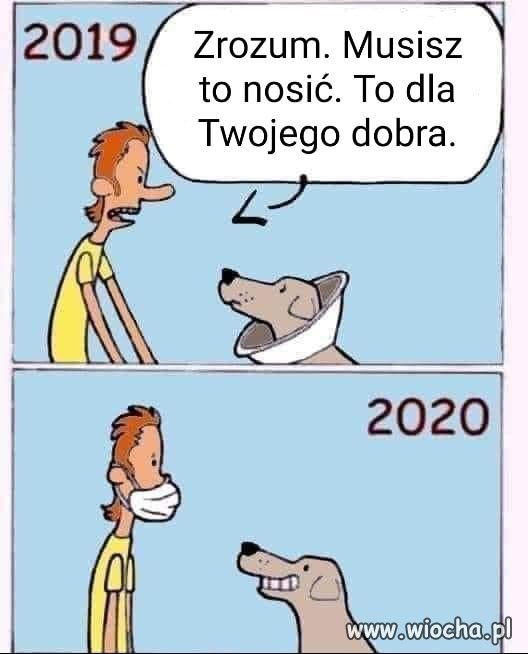 Nosił wilk razy kilka...