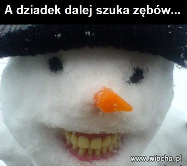 Przecież to zęby Zalewskiej