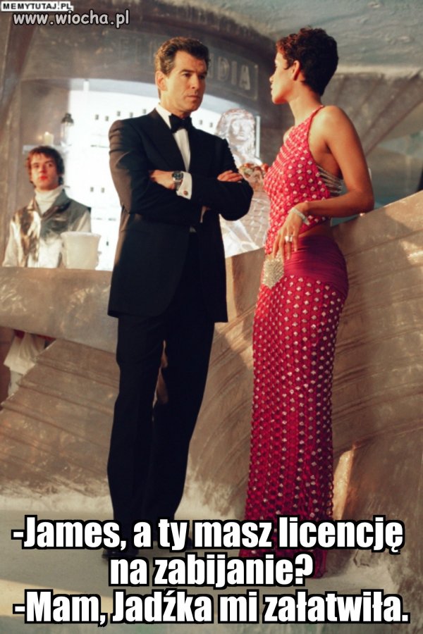 Licencja 