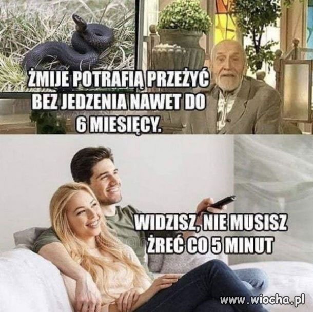 Raz na 6 miesięcy 