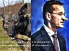 Dość kłamstw na temat burej suki.