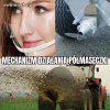 Tak to działa