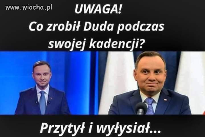 Zapracowany komik