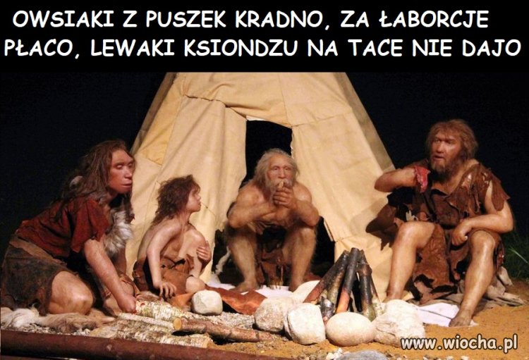 Tymczasem w pisowskich rodzinach 500+
