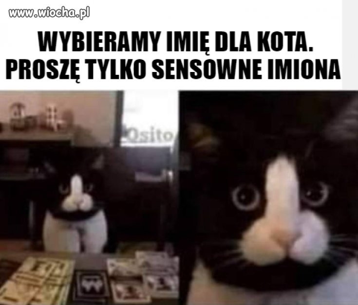 Tylko poważne propozycje 