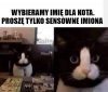 Tylko poważne propozycje 