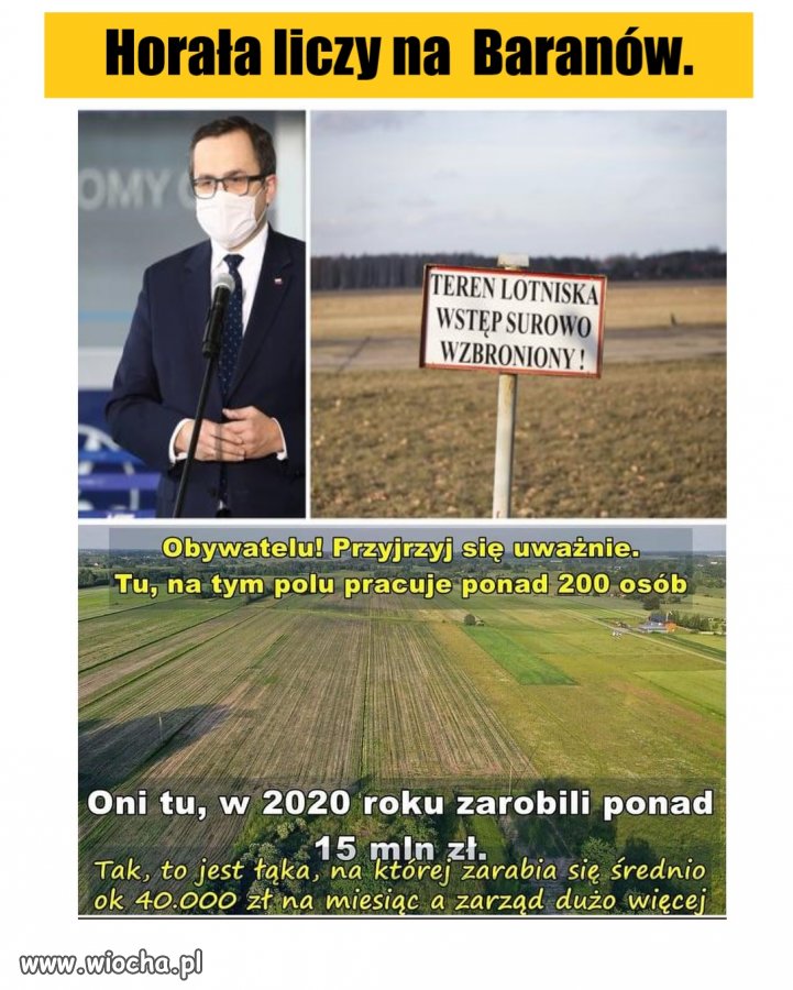 Najdroższa łąka świata?
