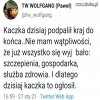 Sam na siebie wydał wyrok
