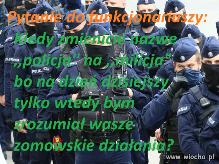 Wysłannicy kaczora