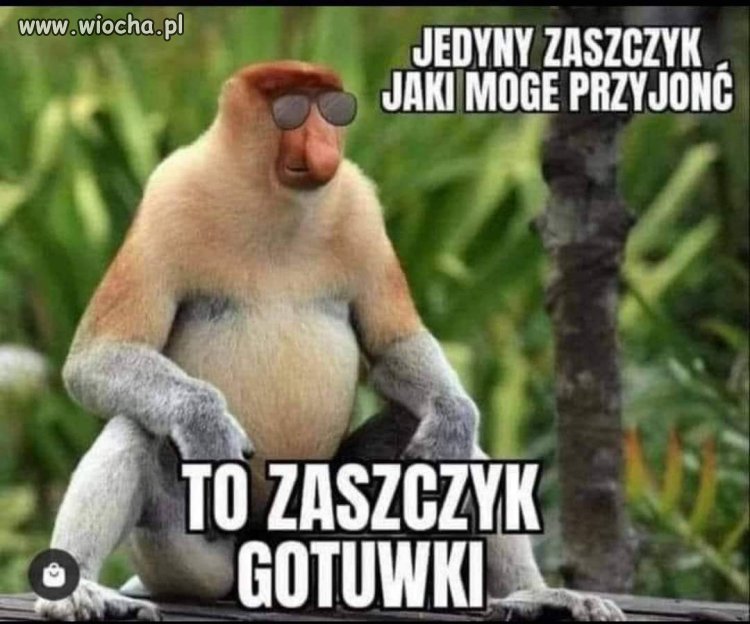 Zastrzyk 