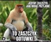 Zastrzyk 