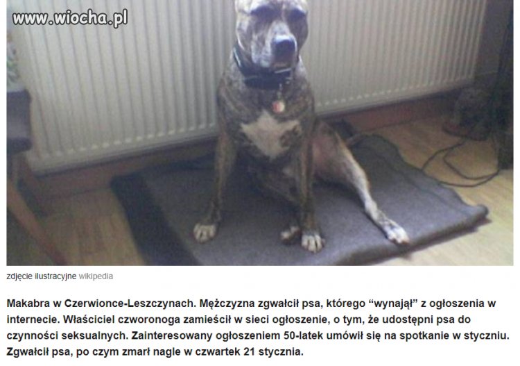 Zbrodnia i kara