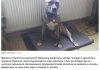 Zbrodnia i kara