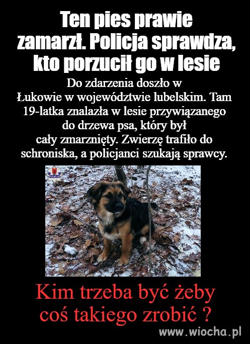 To nie człowiek tego dokonał 