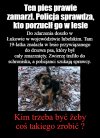 To nie człowiek tego dokonał 