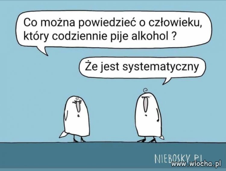 Jeśli pije rum z lodem - jest piratem i morsuje.