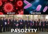Ściągawka 
