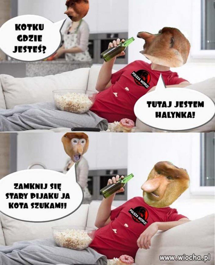 Kotku gdzie jesteś ?