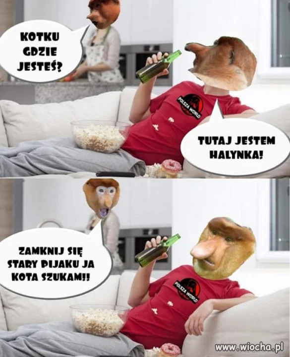 Kotku gdzie jesteś ?