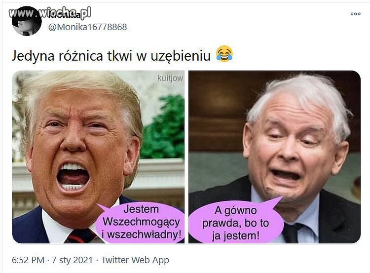 Trump i trampek