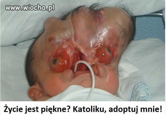 Katoliku. Adoptuj...