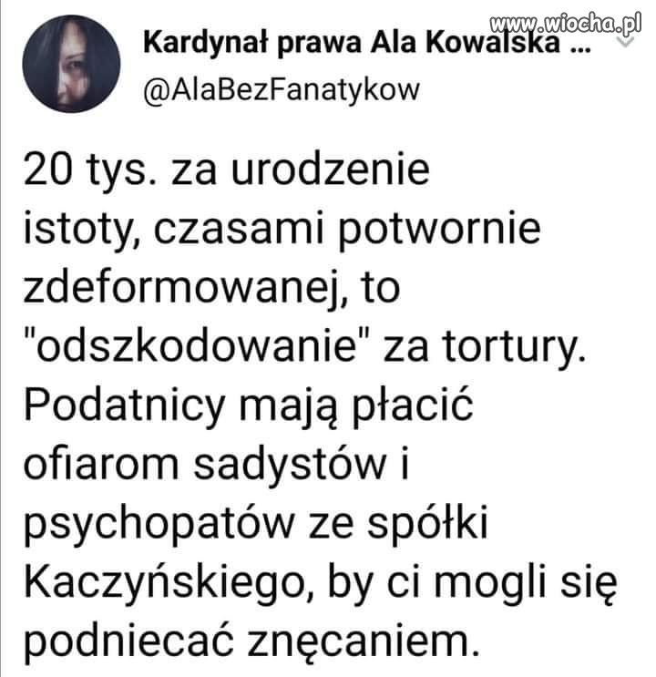 Brawo