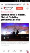 Bydło jest bydłem 