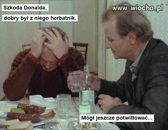 Szkoda herbatnika 