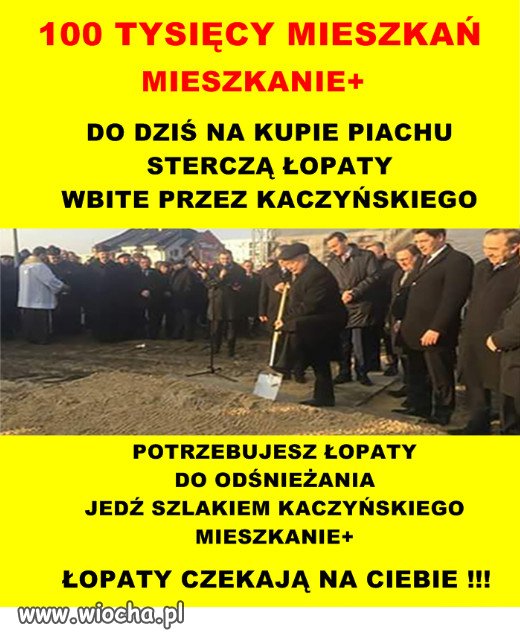 POTRZEBUJESZ ŁOPATY DO ODŚNIEŻANIA?