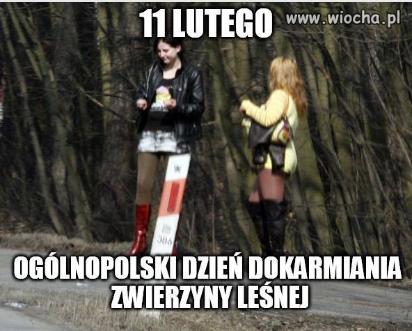 Zając, sarna, jeż
