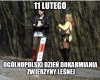Zając, sarna, jeż