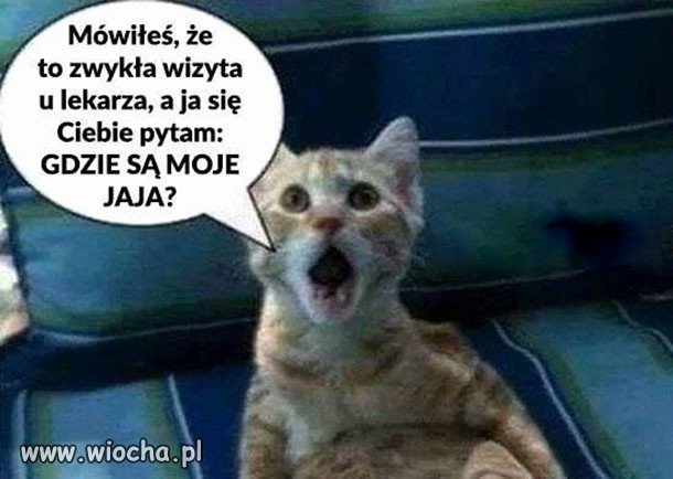 EEE gdzie moje ...