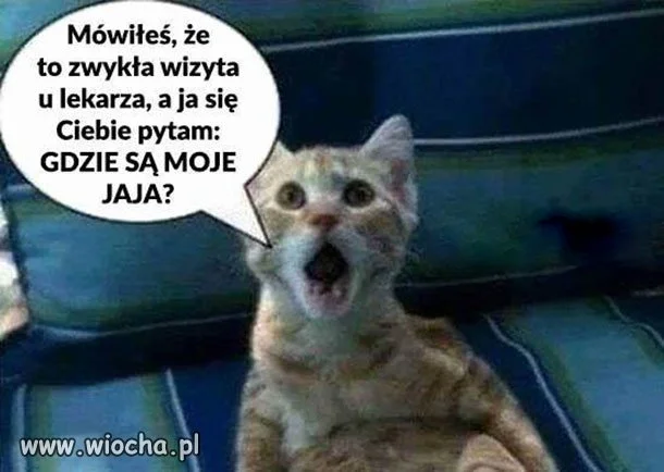 EEE gdzie moje ...