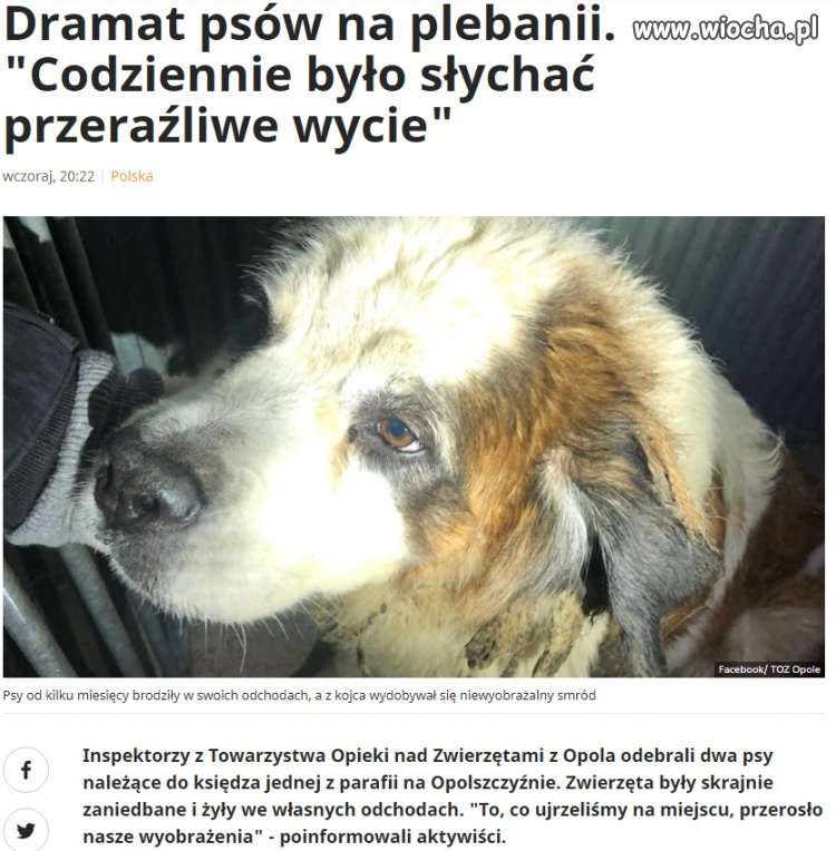 Pedofile, złodzieje, sadyści... Pewnie czarne owce