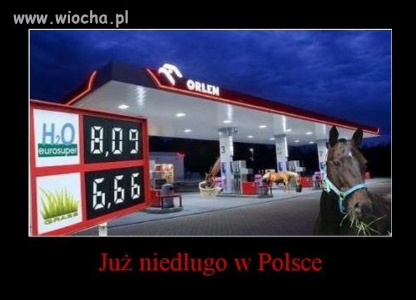Z napędem na cztery kopyta.