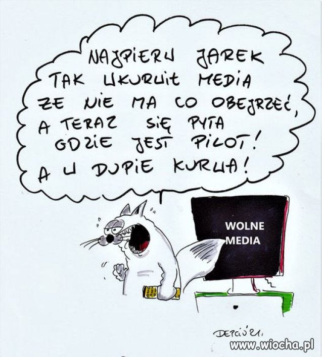 Nawet kot nie wytrzymał